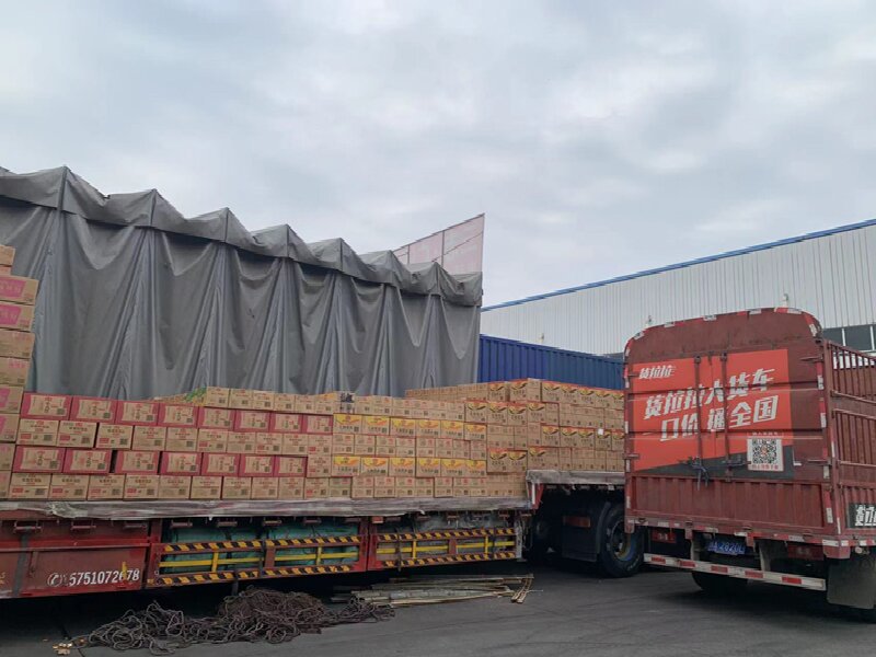 蘇州至衡水物流公司